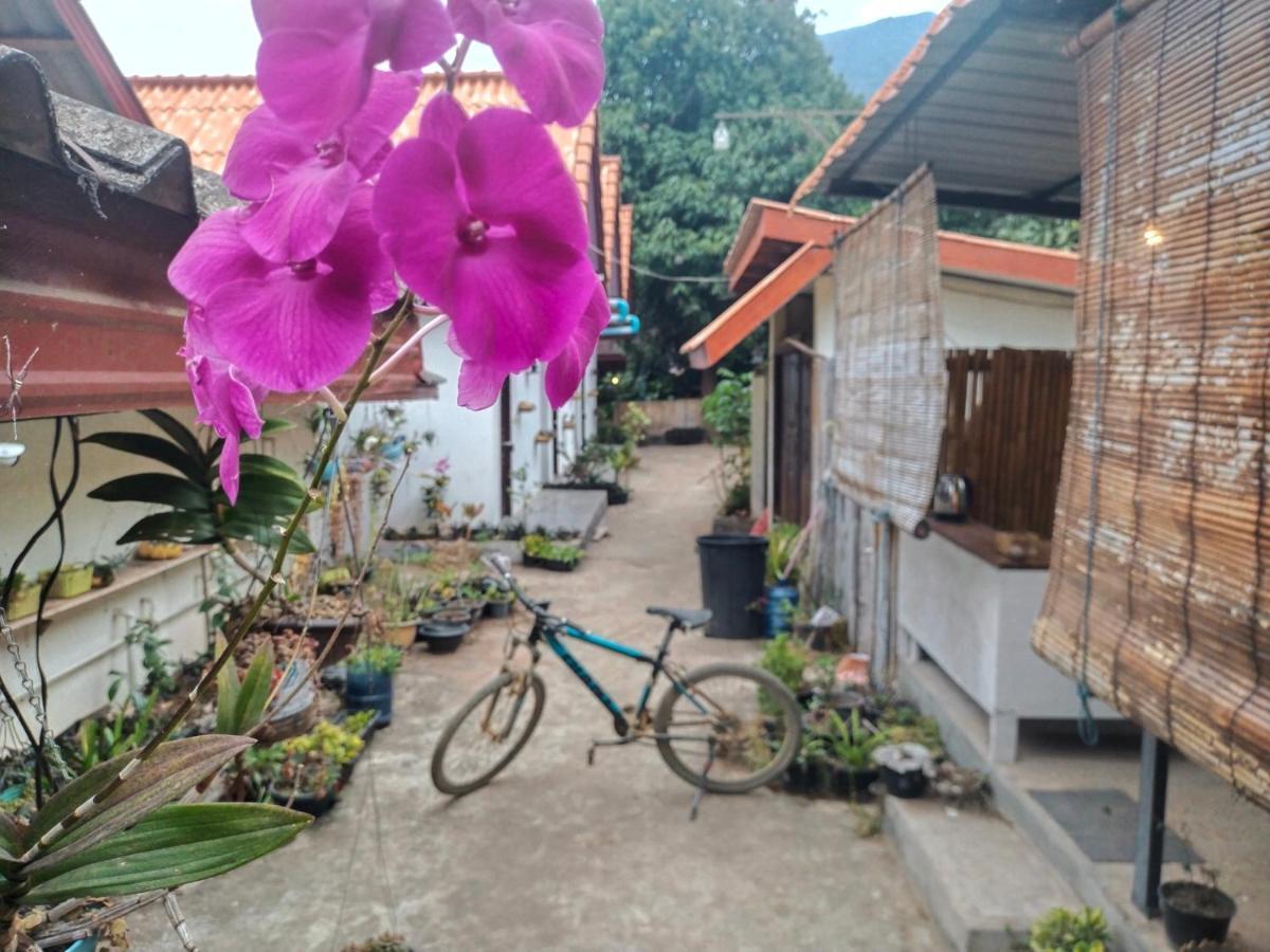 Pdv Guesthouse Muang Ngoi Экстерьер фото